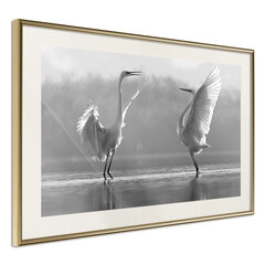 Juliste - Black and White Herons hinta ja tiedot | Taulut | hobbyhall.fi