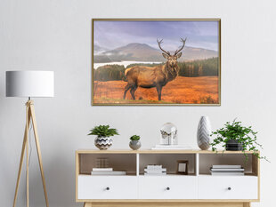 Juliste - Majestic Deer hinta ja tiedot | Taulut | hobbyhall.fi