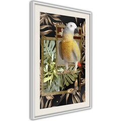 Juliste Composition with Gold Parrot hinta ja tiedot | Taulut | hobbyhall.fi