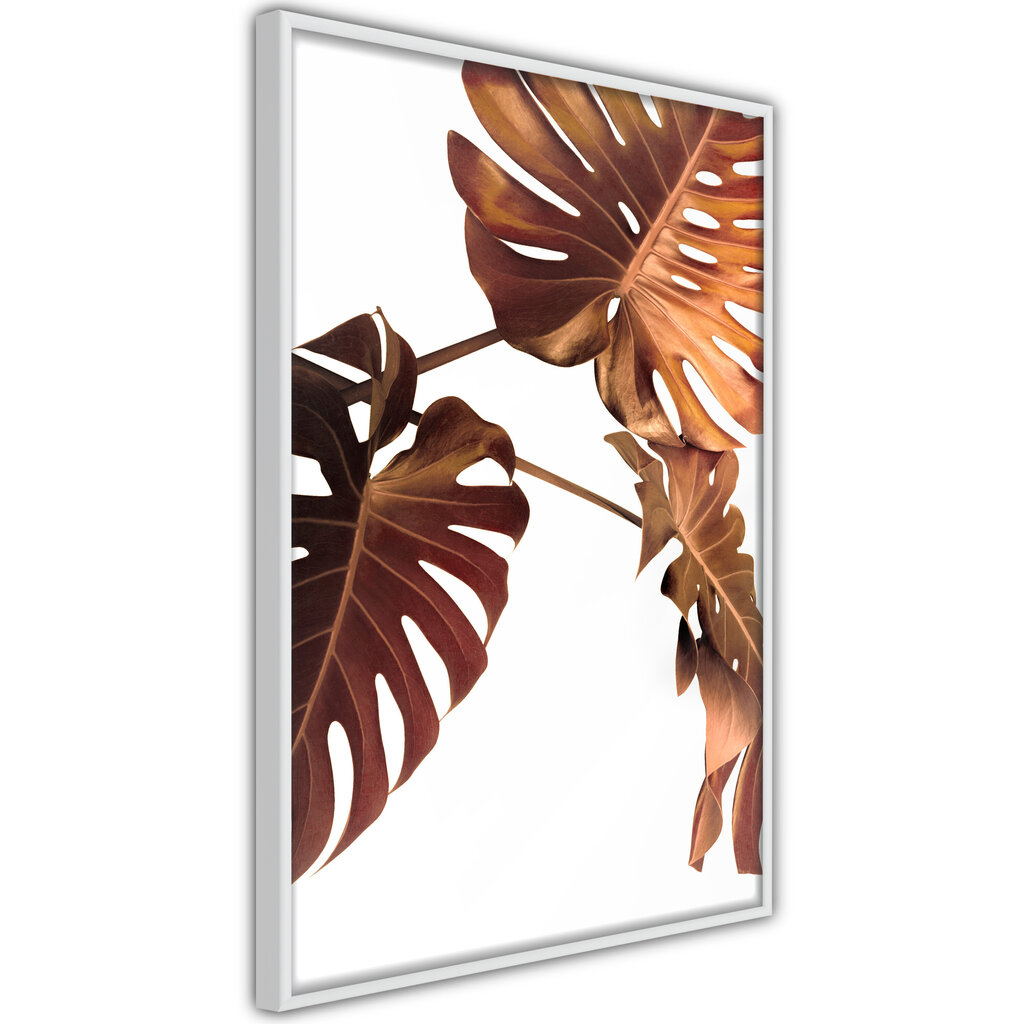 Juliste Copper Monstera hinta ja tiedot | Taulut | hobbyhall.fi