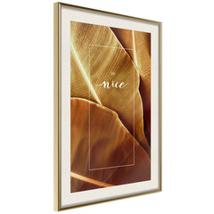 Juliste - Banana Leaves with a Message (Sepia) hinta ja tiedot | Taulut | hobbyhall.fi