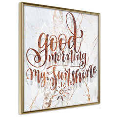 Juliste - Good Morning (Square) hinta ja tiedot | Taulut | hobbyhall.fi