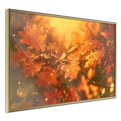 Juliste - Golden Autumn hinta ja tiedot | Taulut | hobbyhall.fi