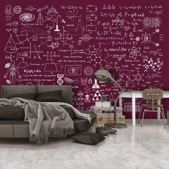 Valokuvatapetti- Science Formulas 250x175 hinta ja tiedot | Valokuvatapetit | hobbyhall.fi