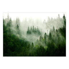 Valokuvatapetti- Mountain Green (vihreä) 441x315 cm hinta ja tiedot | Valokuvatapetit | hobbyhall.fi