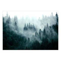 Valokuvatapetti- Mountain Forest, tummavihreä 441x315 cm hinta ja tiedot | Valokuvatapetit | hobbyhall.fi
