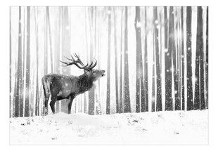 Valokuvatapetti - Deer in the Snow (mustavalkoinen) 441x315 cm hinta ja tiedot | Valokuvatapetit | hobbyhall.fi