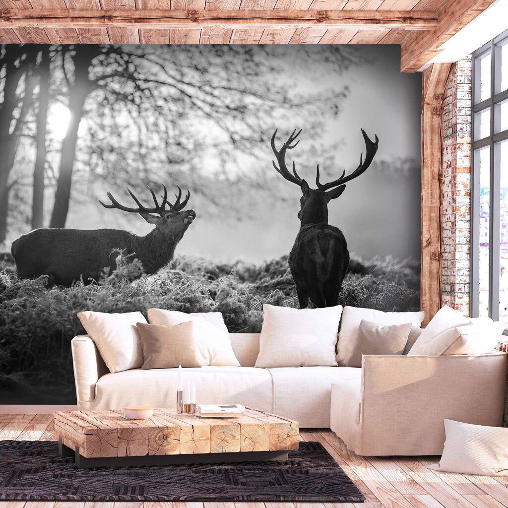 Valokuvatapetti- Deers in the Morning 441x315 cm hinta ja tiedot | Valokuvatapetit | hobbyhall.fi