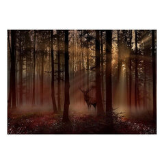 Valokuvatapetti- Mystical Forest - First Variant hinta ja tiedot | Valokuvatapetit | hobbyhall.fi