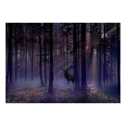 Valokuvatapetti- Mystical Forest - Second Variant 441x315 cm hinta ja tiedot | Valokuvatapetit | hobbyhall.fi