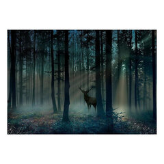 Valokuvatapetti- Mystical Forest - Third Variant 441x315 cm hinta ja tiedot | Valokuvatapetit | hobbyhall.fi