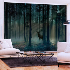Valokuvatapetti- Mystical Forest - Third Variant 441x315 cm hinta ja tiedot | Valokuvatapetit | hobbyhall.fi