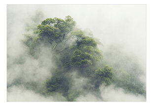 Image of Valokuvatausta- Foggy Amazon 400x280