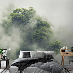 Valokuvatapetti- Foggy Amazon 98x70 98x70 cm hinta ja tiedot | Valokuvatapetit | hobbyhall.fi