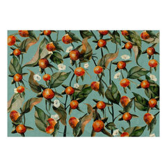 Valokuvatapetti- Orange Grove 250x175 hinta ja tiedot | Valokuvatapetit | hobbyhall.fi