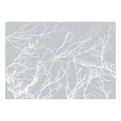 Valokuvatapetti - White Trees, 150x105 hinta ja tiedot | Valokuvatapetit | hobbyhall.fi