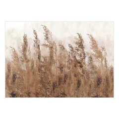 Valokuvatapetti - Tall Grasses - Brown, 450x315 hinta ja tiedot | Valokuvatapetit | hobbyhall.fi