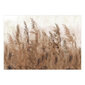 Valokuvatapetti - Tall Grasses - Brown, 196x140 hinta ja tiedot | Valokuvatapetit | hobbyhall.fi