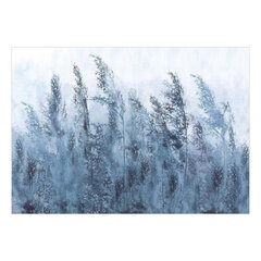 Valokuvatapetti - Tall Grasses - Grey, 98x70 hinta ja tiedot | Valokuvatapetit | hobbyhall.fi