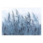 Valokuvatapetti - Tall Grasses - Grey, 196x140 hinta ja tiedot | Valokuvatapetit | hobbyhall.fi