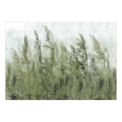 Valokuvatapetti - Tall Grasses - Green, 400x280 hinta ja tiedot | Valokuvatapetit | hobbyhall.fi