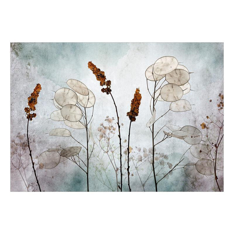 Valokuvatapetti - Lunaria in the Meadow, 200x140 hinta ja tiedot | Valokuvatapetit | hobbyhall.fi