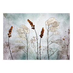 Valokuvatapetti - Lunaria in the Meadow, 300x210 hinta ja tiedot | Valokuvatapetit | hobbyhall.fi