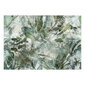 Valokuvatapetti - Light Dew, 450x315 hinta ja tiedot | Valokuvatapetit | hobbyhall.fi