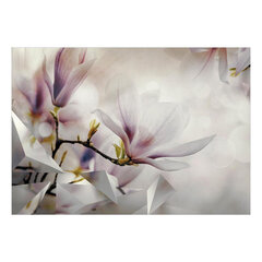 Valokuvatapetti - Subtle Magnolias - First Variant hinta ja tiedot | Valokuvatapetit | hobbyhall.fi