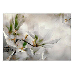 Valokuvatapetti - Subtle Magnolias - Second Variant hinta ja tiedot | Valokuvatapetit | hobbyhall.fi