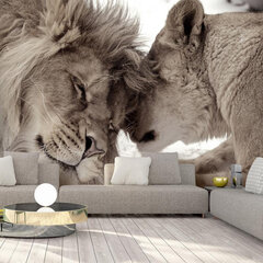 Valokuvatapetti - Lion Tenderness (Sepia), 98x70 hinta ja tiedot | Valokuvatapetit | hobbyhall.fi