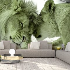 Valokuvatapetti - Lion Tenderness (Green), 98x70 hinta ja tiedot | Valokuvatapetit | hobbyhall.fi