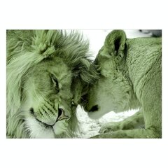 Valokuvatapetti - Lion Tenderness (Green), 98x70 hinta ja tiedot | Valokuvatapetit | hobbyhall.fi