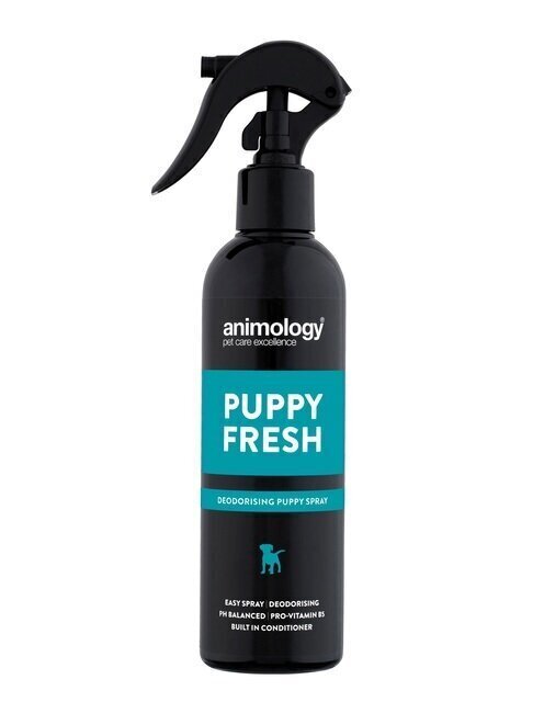 ANIMOLOGY SPRAY FRERESHING PUPPY FRESH 250ML hinta ja tiedot | Shampoot ja hoitoaineet lemmikeille | hobbyhall.fi