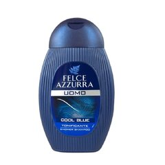 Felce Azzurran Cool Blue - miesten suihkushampoo, 250ml hinta ja tiedot | Suihkusaippuat ja suihkugeelit | hobbyhall.fi