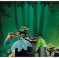 70808 PLAYMOBIL® Adventures of Ayuma, Kevään seremonia hinta ja tiedot | LEGOT ja rakennuslelut | hobbyhall.fi