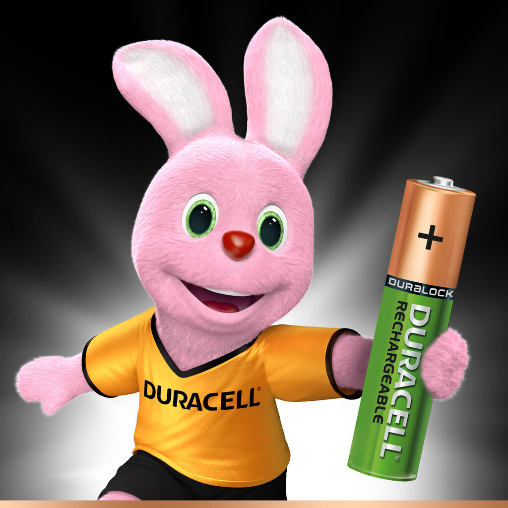 -Ladattavat paristot Duracell AAA (850 mAh) LR03, 2 kpl hinta ja tiedot | Paristot | hobbyhall.fi