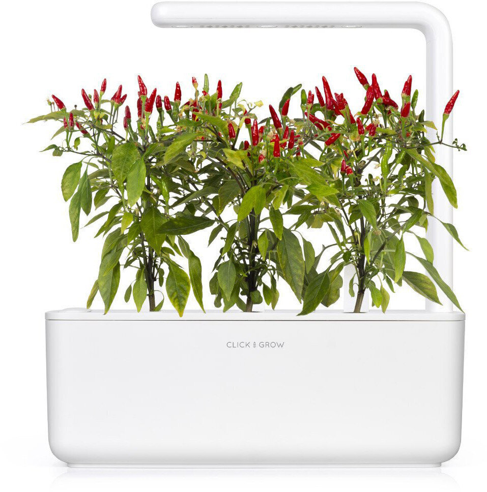 Click & Grow Smart Garden -täyttö Piri Piri chilipippuria 3kpl hinta ja tiedot | Sisäpuutarhat ja kasvilamput | hobbyhall.fi