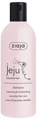 Hiukset & Päänahka Shampoo Ziaja Jeju, 300 ml, hinta ja tiedot | Shampoot | hobbyhall.fi