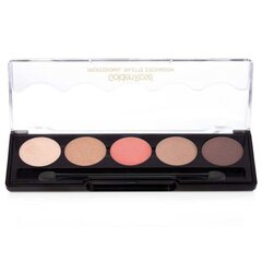 Luomiväri Golden Rose Professional Palette No.106 5x1.6 g hinta ja tiedot | Silmämeikit | hobbyhall.fi