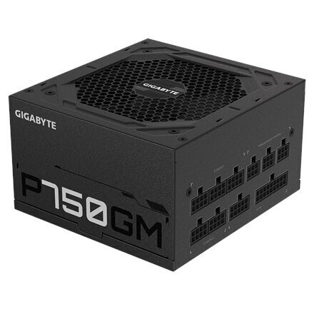 Gigabyte GP-P750GM hinta ja tiedot | Virtalähteet | hobbyhall.fi