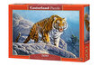 Palapeli Castorland Tiger on the Rocks 500 kpl hinta ja tiedot | Palapelit | hobbyhall.fi