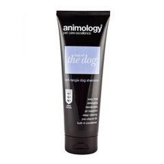 Animologia shampoon Koiran hiukset, 250ml hinta ja tiedot | Shampoot ja hoitoaineet lemmikeille | hobbyhall.fi