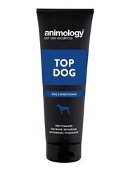 ANIMOLOGY PALSAM TOP DOG 250ML hinta ja tiedot | Shampoot ja hoitoaineet lemmikeille | hobbyhall.fi