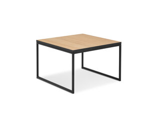 Sohvapöytä Interieurs86 Morgane 54, ruskea/musta hinta ja tiedot | Sohvapöydät | hobbyhall.fi