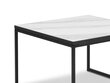 Sohvapöytä Interieurs86 Morgane 54, valkoinen/musta hinta ja tiedot | Sohvapöydät | hobbyhall.fi