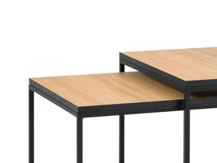 2 sohvapöytäsetti Interieurs86 Morgane, ruskea/musta hinta ja tiedot | Sohvapöydät | hobbyhall.fi