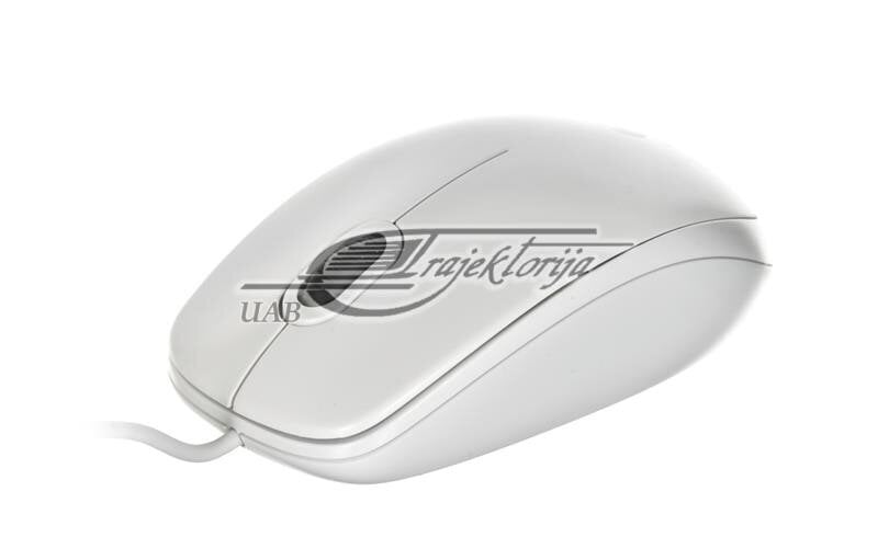 Logitech B100 910-003360, valkoinen hinta ja tiedot | Hiiret | hobbyhall.fi