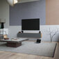 TV-pöytä Kalune Design FR8, ruskea/harmaa hinta ja tiedot | TV-tasot | hobbyhall.fi