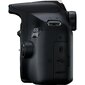 Canon EOS 2000D + EF-S 18-55mm III + EF 75-300mm III. hinta ja tiedot | Kamerat | hobbyhall.fi